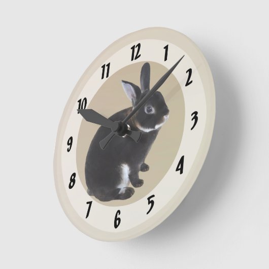 Donkerbruin en wit Mini Rex Konijn Ronde Klok (Hoek)