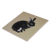 Donkerbruin en wit Mini Rex Konijn Tegeltje (Zijkant)