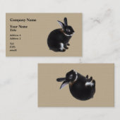 Donkerbruin en wit Mini Rex Konijn Visitekaartje (Voorkant / Achterkant)