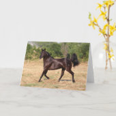 Donkerbruin Spaans Mustang Mare Walking Kaart (Gele Bloem)