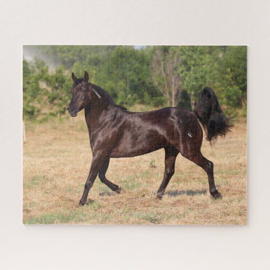 Donkerbruin Spaans Mustang Mare Walking Legpuzzel (Horizontaal)