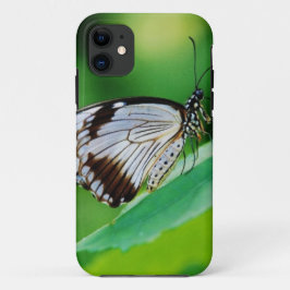 Donkerbruine en grijze vlinder iPhone 11 hoesje