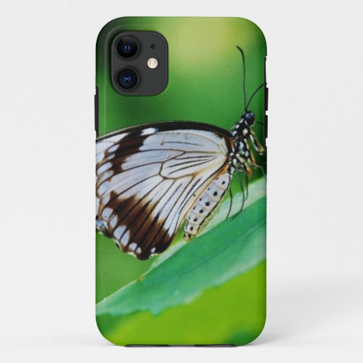 Donkerbruine en grijze vlinder Case-Mate iPhone case (Achterkant)