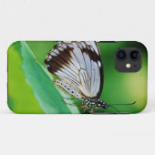 Donkerbruine en grijze vlinder Case-Mate iPhone case (Achterkant (horizontaal))