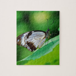 Donkerbruine en grijze vlinder legpuzzel