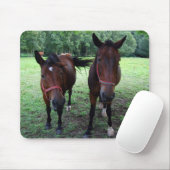 Donkerbruine paarden op weiland muismat (Met muis)