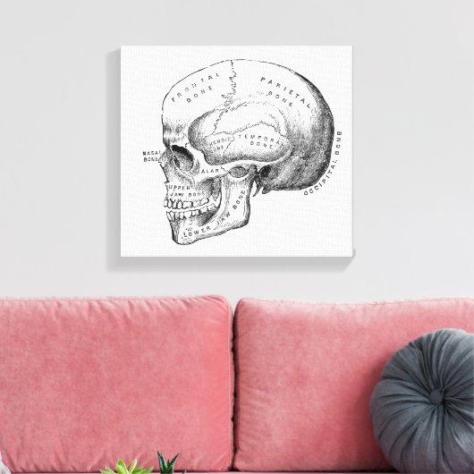Donkere Academia Skull Canvas Art (Insitu (Woonkamer))