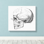 Donkere Academia Skull Canvas Art (Insitu (Houten vloer))