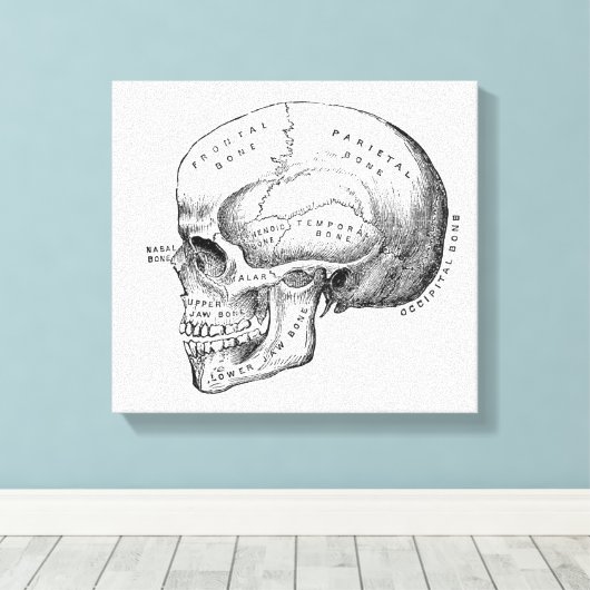 Donkere Academia Skull Canvas Art (Insitu (Houten vloer))