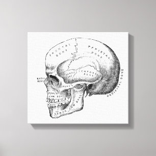 Donkere Academia Skull Canvas Art