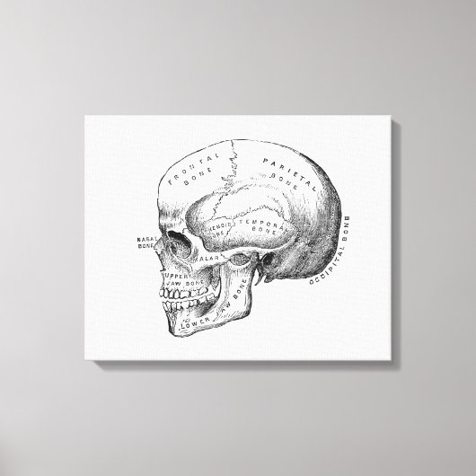 Donkere Academia Skull Canvas Art Afdruk (Voorkant)