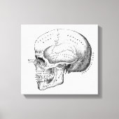 Donkere Academia Skull Canvas Art Afdruk (Voorkant)