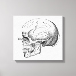 Donkere Academia Skull Canvas Art Afdruk