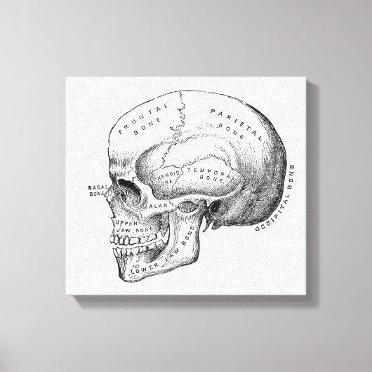Donkere Academia Skull Canvas Art Afdruk (Voorkant)