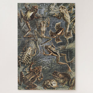Donkere Academics Haeckel Vintage Kikker Natuurpri Legpuzzel