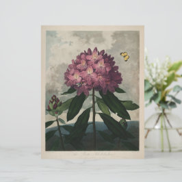  donkere academie Botanische afdruk