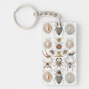 Donkere Academië Haeckel Vintage Spin Symmetrie Ku Sleutelhanger