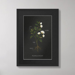 Donkere Academische Botanische Anatomie Poster