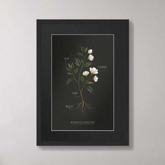 Donkere Academische Botanische Anatomie Poster