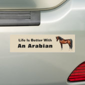 Donkere baai Egyptisch Arabisch paard Bumpersticker (Op auto)