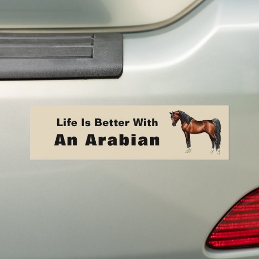 Donkere baai Egyptisch Arabisch paard Bumpersticker (Op auto)