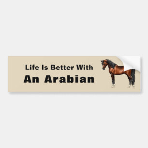 Donkere baai Egyptisch Arabisch paard Bumpersticker