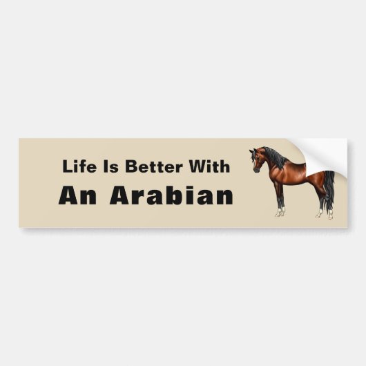 Donkere baai Egyptisch Arabisch paard Bumpersticker (Voorkant)
