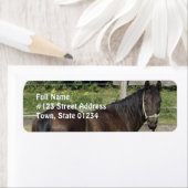 Donkere baai volbloed adreslabel etiket (Insitu)