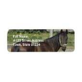 Donkere baai volbloed adreslabel etiket (Voorkant)