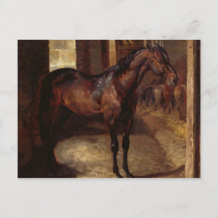 Donkere Bay Horse in de stal Briefkaart