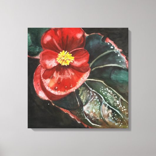 Donkere begonia in Waterverf Canvas Afdruk (Voorkant)
