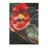 Donkere begonia in Waterverf Mini Klembord (Achterkant)