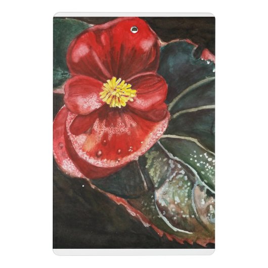 Donkere begonia in Waterverf Mini Klembord (Achterkant)