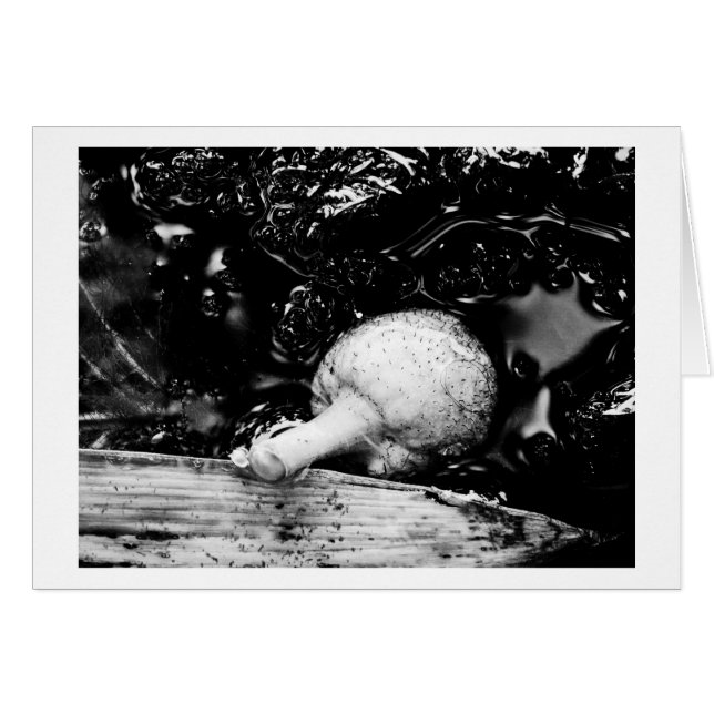 donkere beschermer (Voorkant Horizontaal)