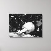 donkere beschermer canvas afdruk (Voorkant)