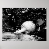 donkere beschermer poster (Voorkant)