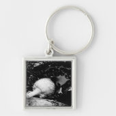 donkere beschermer sleutelhanger (Voorkant)