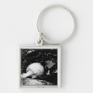 donkere beschermer sleutelhanger