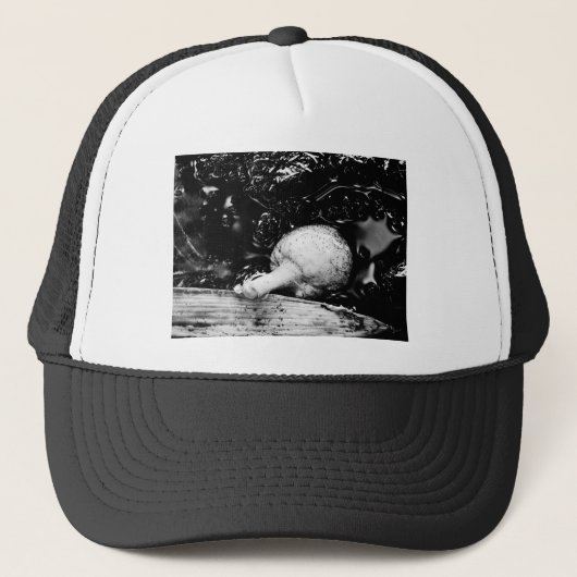 donkere beschermer trucker pet (Voorkant)