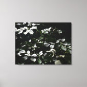 Donkere bladeren canvas afdruk (Voorkant)