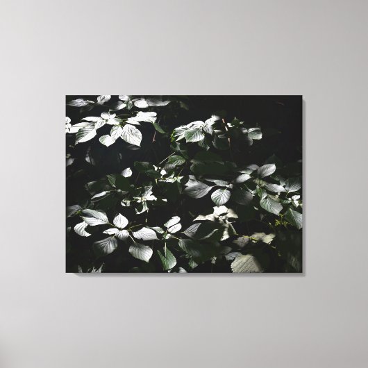 Donkere bladeren canvas afdruk (Voorkant)