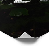 Donkere bladeren poster (Hoek)