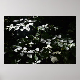 Donkere bladeren poster