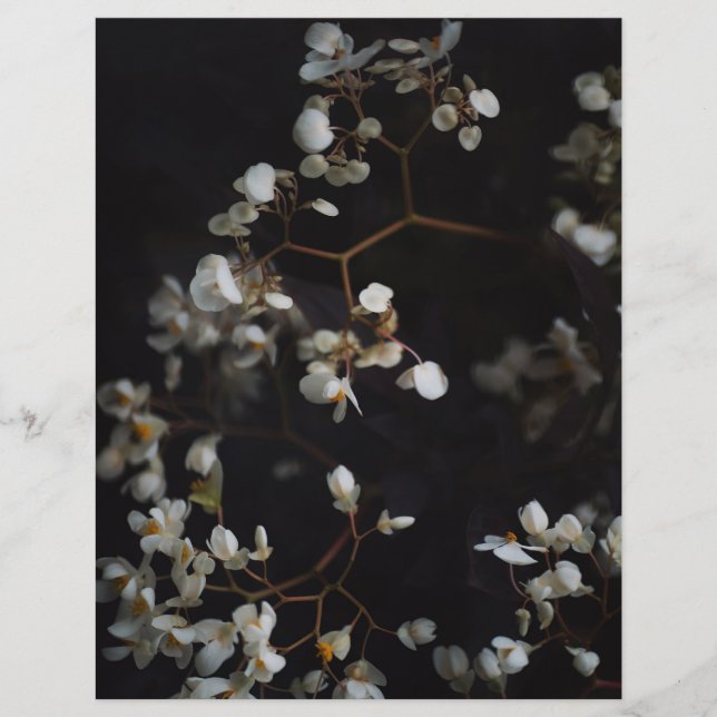 Donkere Bloemrijke Elegante Scrapbook Papier (Voorkant)