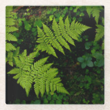 Donkere bosvarens, sombere groene esthetiek