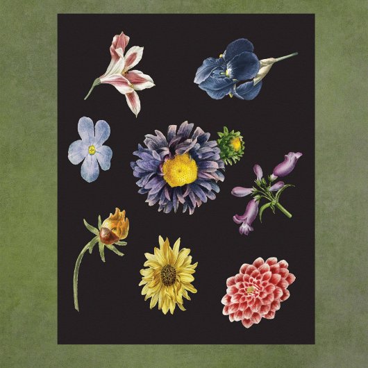 Donkere botanische bloemen op zwart poster