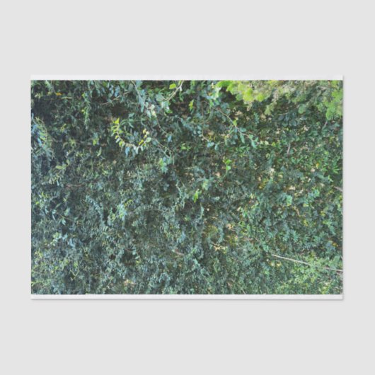 Donkere botanische groen bloemenachtergrond tissuepapier (Voorkant)