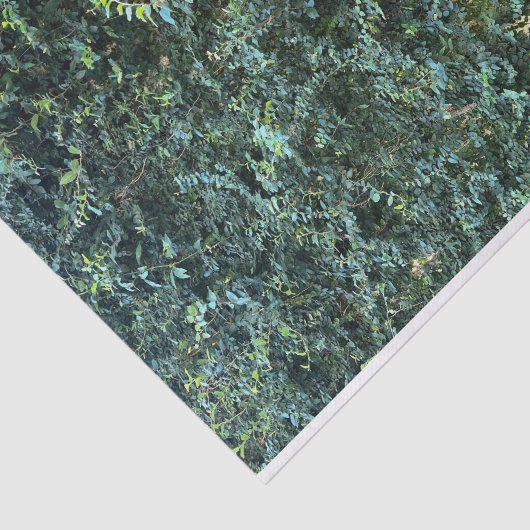 Donkere botanische groen bloemenachtergrond tissuepapier (Detail)