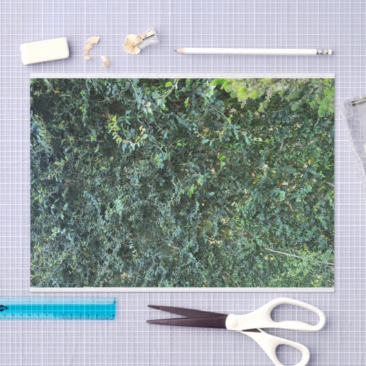 Donkere botanische groen bloemenachtergrond tissuepapier (Craft)