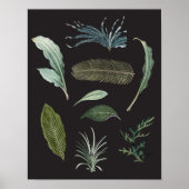 Donkere botanische planten bladeren op zwart poster (Voorkant)